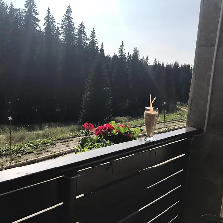 Nice Hotel Pamporovo